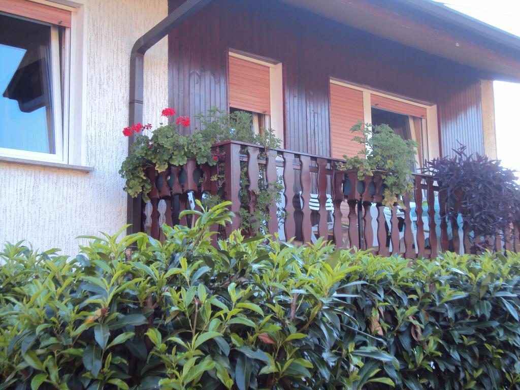 Apartment Maruska Tolmin Exterior foto